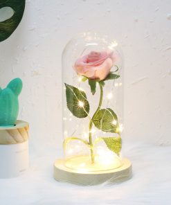 Rose éternelle sous cloche led Rose