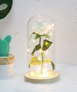 rose eternelle blanche sous cloche