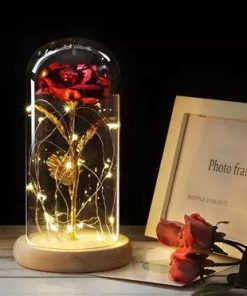 Rose Eternelle Cloche